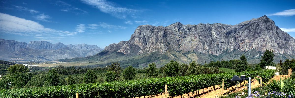 Cape Winelands, South Africa, Africa